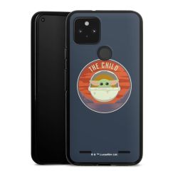 Carry Case Hülle Schwarz ohne Band