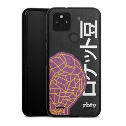 Carry Case Hülle Schwarz ohne Band