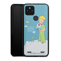 Carry Case Hülle Schwarz ohne Band