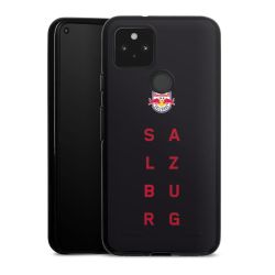 Carry Case Hülle Schwarz ohne Band