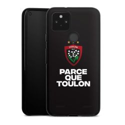 Carry Case Hülle Schwarz ohne Band