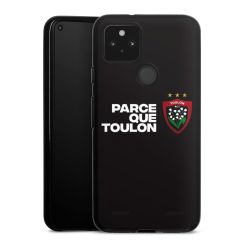 Carry Case Hülle Schwarz ohne Band