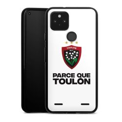 Carry Case Hülle Schwarz ohne Band