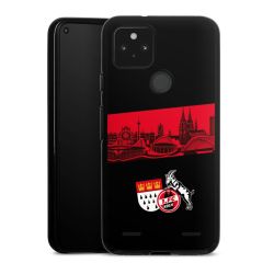 Carry Case Hülle Schwarz ohne Band