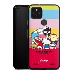 Carry Case Hülle Schwarz ohne Band