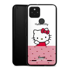 Carry Case Hülle Schwarz ohne Band