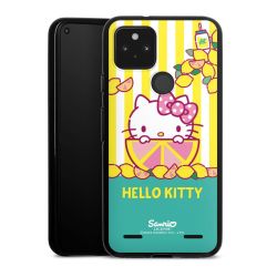 Carry Case Hülle Schwarz ohne Band