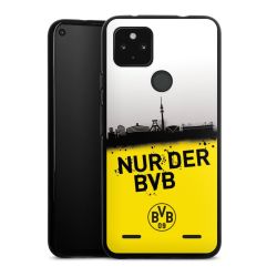 Carry Case Hülle Schwarz ohne Band