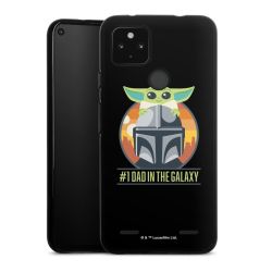 Carry Case Hülle Schwarz ohne Band