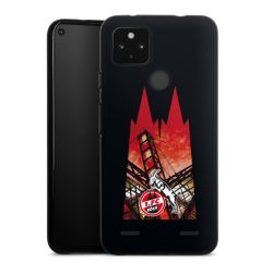 Carry Case Hülle Schwarz ohne Band