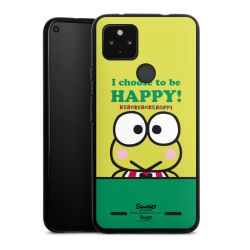 Carry Case Hülle Schwarz ohne Band