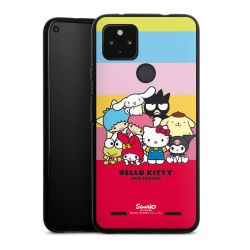 Carry Case Hülle Schwarz ohne Band