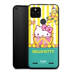 Carry Case Hülle Schwarz ohne Band