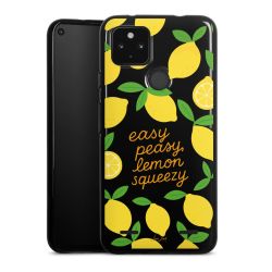 Carry Case Single Black