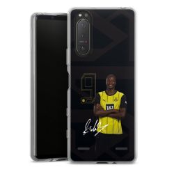 New Carry Case Hülle Transparent