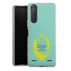 Carry Case Single Transparent