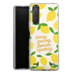 Carry Case Single Transparent