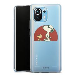 Carry Case Single Transparent