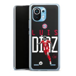 Carry Case Single Transparent