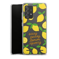 New Carry Case Hülle Transparent