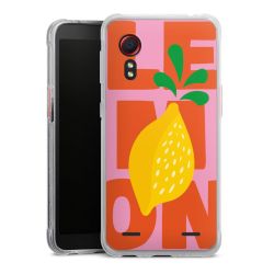 Carry Case Single Transparent