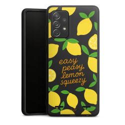 Premium Carry Case Single Matt black