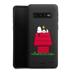 Premium Carry Case Single Matt black