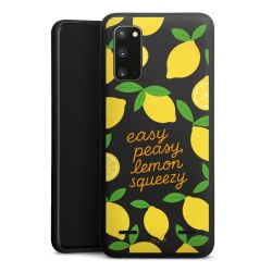 New Carry Case Hülle mattschwarz