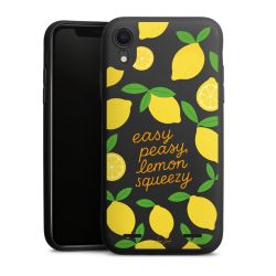 New Carry Case Hülle mattschwarz