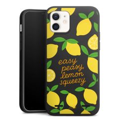 Premium Carry Case Single Matt black