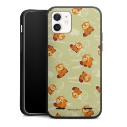 New Carry Case Hülle mattschwarz