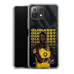 New Carry Case Hülle Transparent