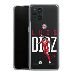 Carry Case Single Transparent