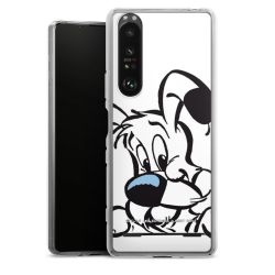 Carry Case Hülle Transparent ohne Band