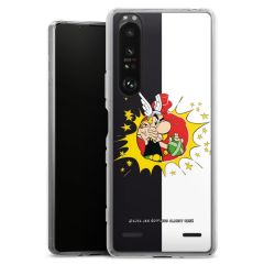 Carry Case Hülle Transparent ohne Band