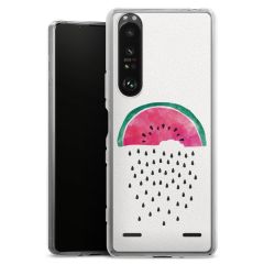 Carry Case Single Transparent