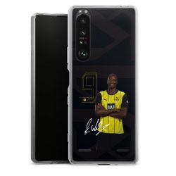 New Carry Case Hülle Transparent