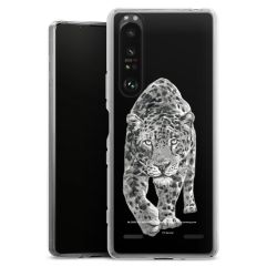 Carry Case Single Transparent