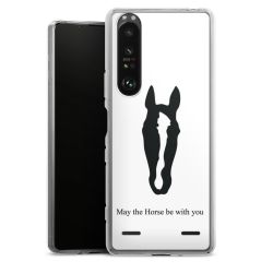 Carry Case Single Transparent