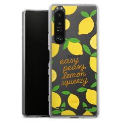 Carry Case Single Transparent