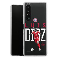 New Carry Case Hülle Transparent