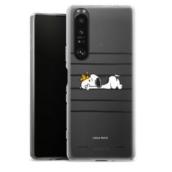 Carry Case Single Transparent