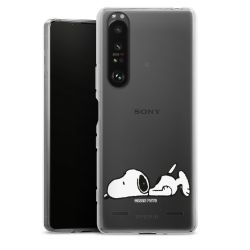 New Carry Case Hülle Transparent