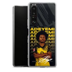 New Carry Case Hülle Transparent