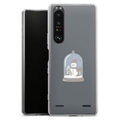 Carry Case Single Transparent