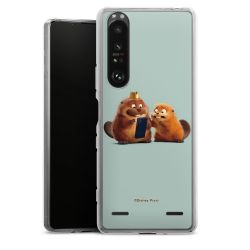 Carry Case Single Transparent