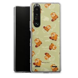 Carry Case Single Transparent