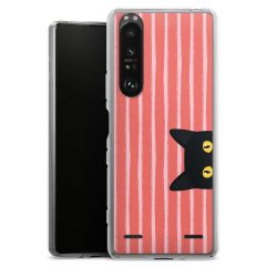 Carry Case Single Transparent