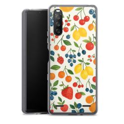 Carry Case Single Transparent