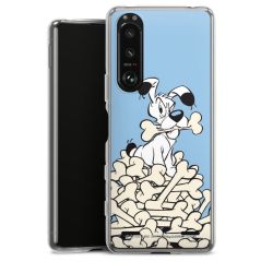 Carry Case Hülle Transparent ohne Band